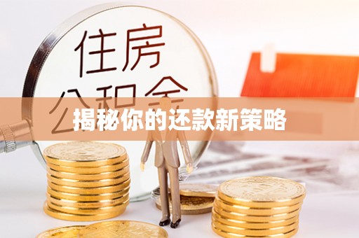 原州揭秘你的还款新策略
