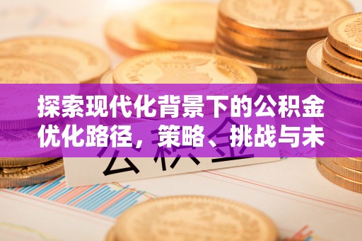 原州探索现代化背景下的公积金优化路径，策略、挑战与未来展望