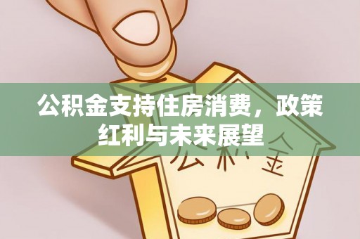 原州公积金支持住房消费，政策红利与未来展望