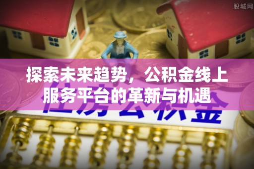 原州探索未来趋势，公积金线上服务平台的革新与机遇