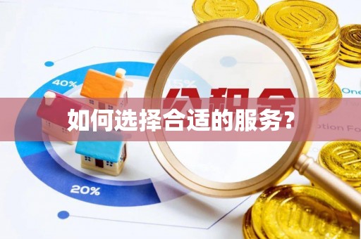 原州如何选择合适的服务？