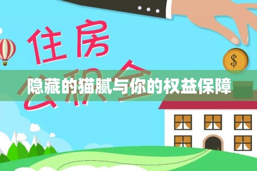 原州隐藏的猫腻与你的权益保障